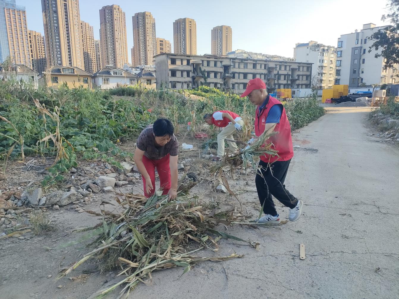 黨員進社區(qū)：守護綠色家園，彰顯國企擔當